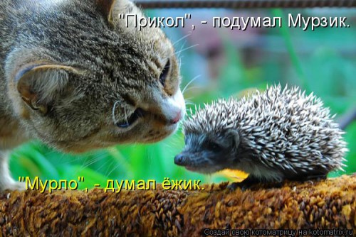 d0bcd183d180d0bbd0be
