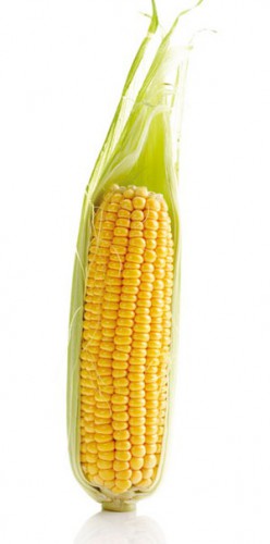 d0bfd0bed187d0b0d182d0bed0ba-d0bbd18ed0b1d0b2d0b8