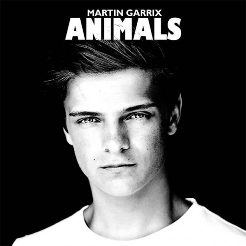 martin-garrix-animals